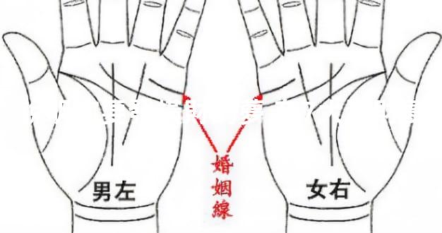 說明你要發橫財的夢 有7大發財夢